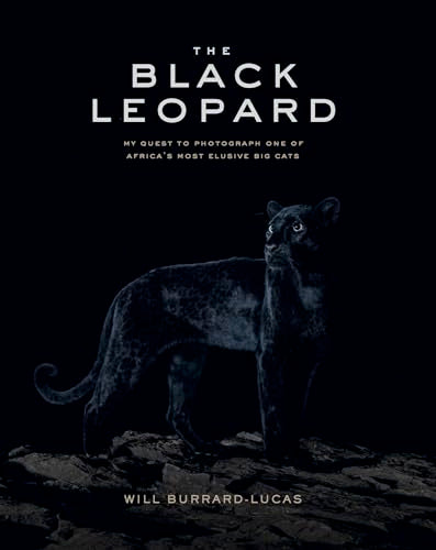 Black Leopards