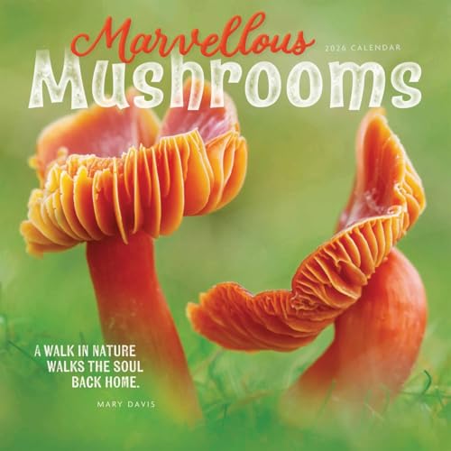Marvellous Mushrooms Square Wall Calenda