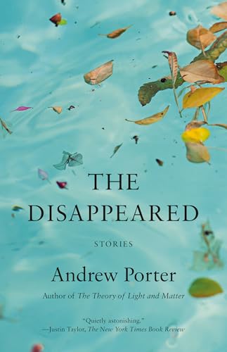 The Disappeared : Stories