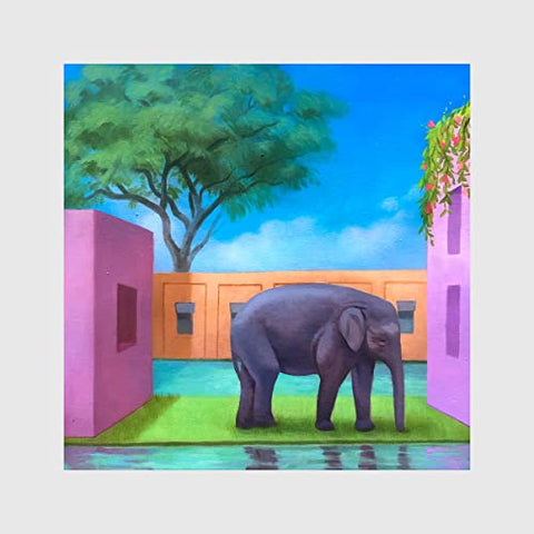 Various Artists - Elephant In The Room  [CD]