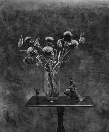Life, Death and Everything in Between