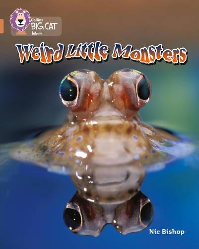 Weird Little Monsters: This information book introduces some of the tiniest and weirdest monsters in the natural world. (Collins Big Cat): Band 12 Phase 5, Bk. 6
