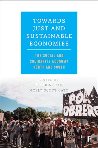 Towards Just and Sustainable Economies : The Social and Solidarity Economy North and South