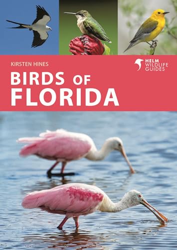 Birds of Florida