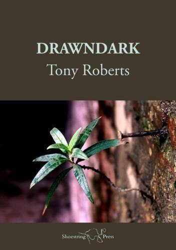Drawndark
