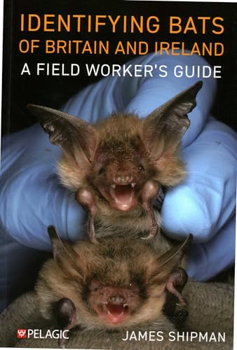 Identifying Bats of Britain and Ireland : A Field Worker’s Guide