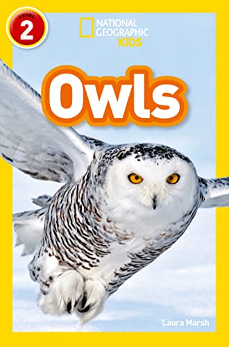 Book cover featuring a snowy owl, titled "Owls : Level 2".