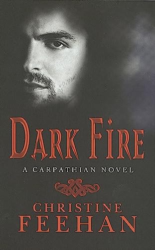 Dark Fire: Number 6 in series