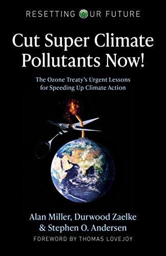 Resetting Our Future: Cut Super Climate Pollutants Now!: The Ozone Treatys Urgent Lessons for Speeding Up Climate Action