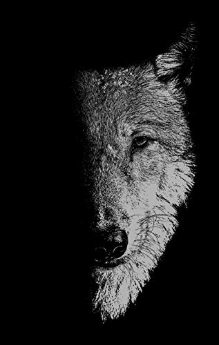 Black and white close-up of a wolf’s face, partially in shadow.