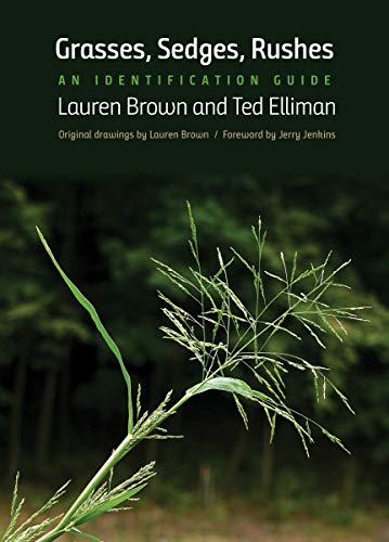 Grasses