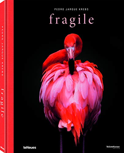 Fragile (Photography)