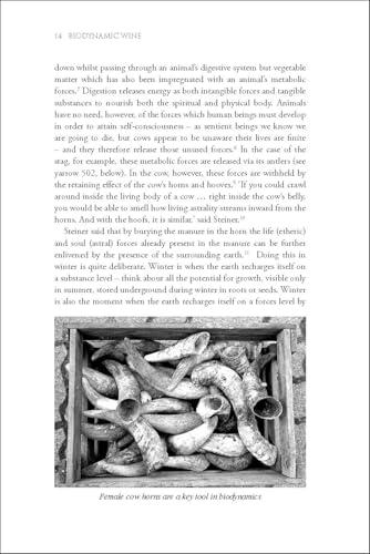 Biodynamic wine