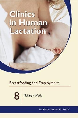 Breastfeeding and Employment: Making it Work: Volume 8 (Clinics in Human Lactation)