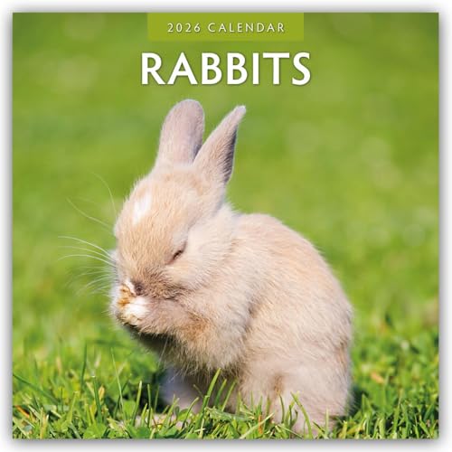 Rabbits 2026 Square Wall Calendar