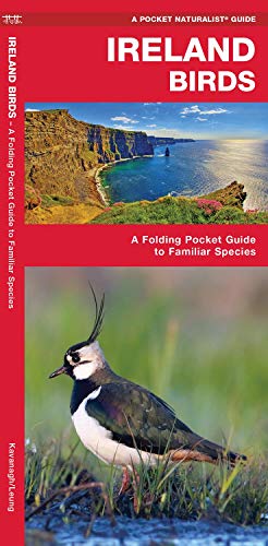 Ireland Birds, 2nd Edition: A Folding Pocket Guide to Familiar Species (Pocket Naturalist Guide) (Wildlife and Nature Identification)