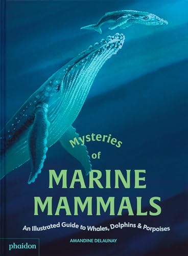 Mysteries of Marine Mammals : An Illustrated Guide to Whales, Dolphins, and Porpoises