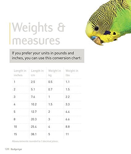 Budgeriegars - Pet Friendly