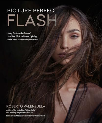 Picture Perfect Flash : Using Portable Strobes and Hot Shoe Flash to Master Lighting and Create Extraordinary Portraits