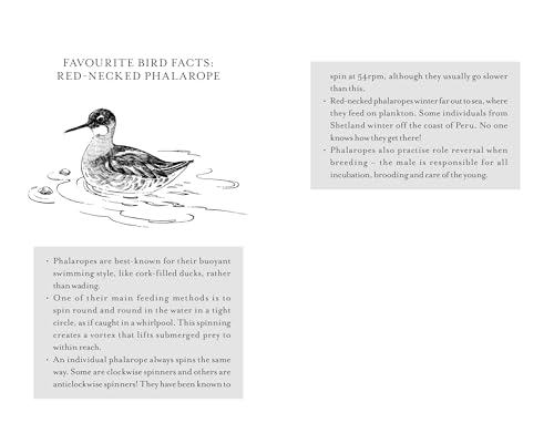 RSPB A Little Bird Told Me : A collection of fascinating facts about birds