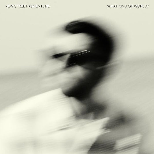 New Street Adventure Feat. Nick Corbin - What Kind Of Life? [CD]
