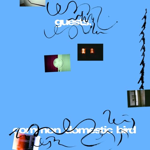 Guests - Common Domestic Bird [VINYL]