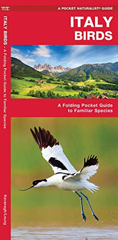 Italy Birds: A Folding Pocket Guide to Familiar Species (Pocket Naturalist Guide) (Wildlife and Nature Identification)