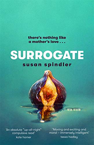 Surrogate: 'An absolute belter of a page-turner [about] mother-daughter relationships, marriage and ageing' HEAT
