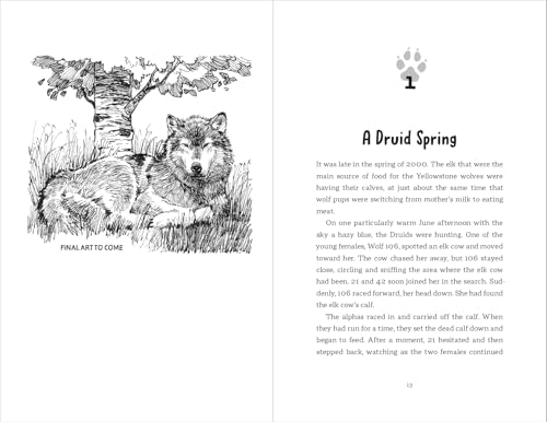 A Time of Legends : The Story of Two Fearless Wolves-and One Rebel