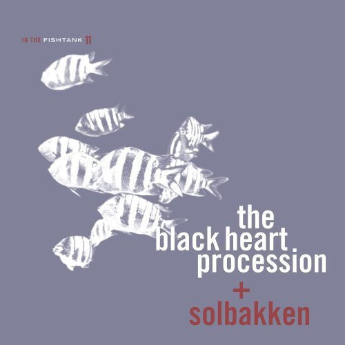Album cover with silver fish illustrations on a purple background.