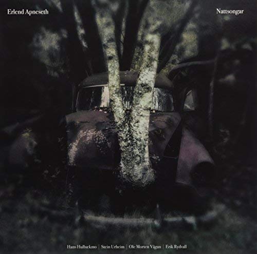 Album cover: rusted car overgrown with birch trees in a dark forest.