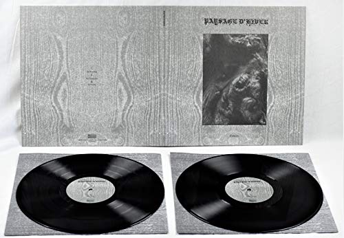 Paysage D'hiver - Steineiche  [VINYL]