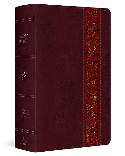 ESV Large Print Personal Size Bible