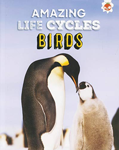Amazing Life Cycles-Birds