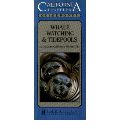Whale Watching & Tidepools