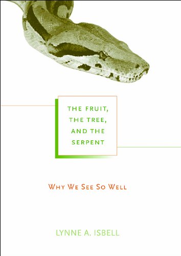 The Fruit, the Tree, and the Serpent: Why We See So Well