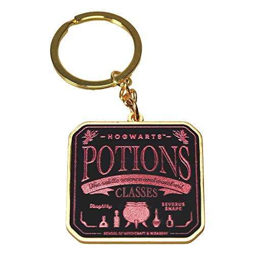 Keyring Metal - Harry Potter (Potions)