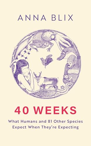 40 Weeks
