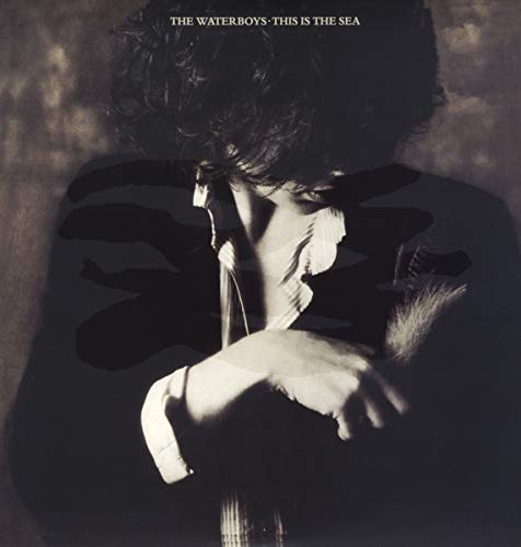 The Waterboys - This Is The Sea [VINYL]