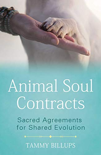 Book cover: hand touching a paw, teal background, title "Animal Soul Contracts.