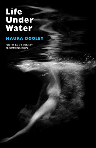 Book cover showing a person swimming underwater against a black background.
