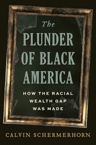 The Plunder of Black America : How the Racial Wealth Gap Was Made