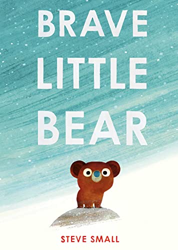 Brave Little Bear : the adorable new story from the author of The Duck Who Didn't Like Water