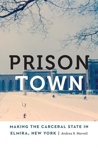 Prison Town : Making the Carceral State in Elmira, New York