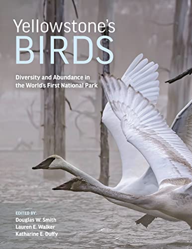 Yellowstone’s Birds : Diversity and Abundance in the World’s First National Park