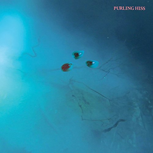 Purling Hiss - High Bias [VINYL]
