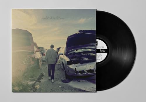 R.r. Williams - Unremarkable Lives [VINYL]