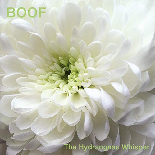 Boof - The Hydrangeas Whisper [CD]
