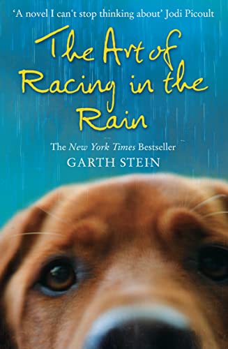 Art Of Racing In The Rain: a novel