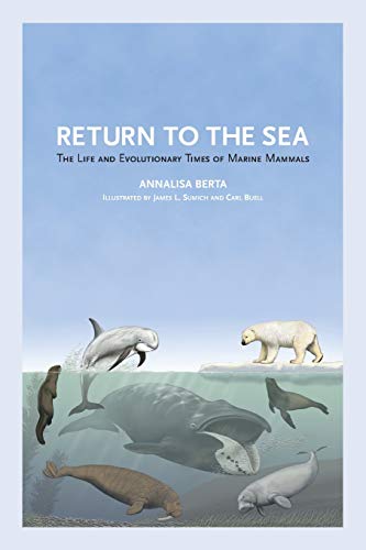 Return to the Sea (None)